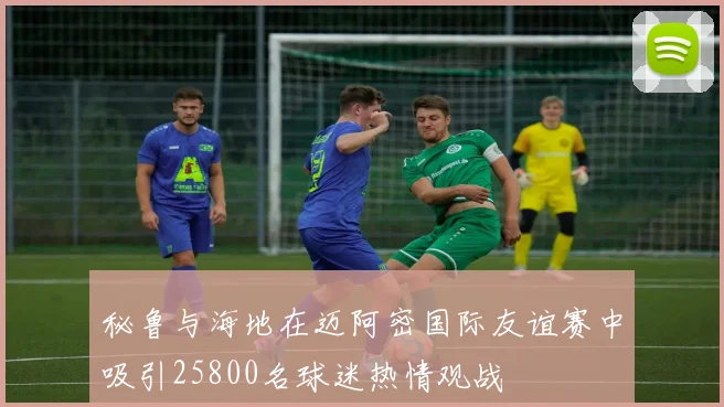 秘鲁与海地在迈阿密国际友谊赛中吸引25800名球迷热情观战
